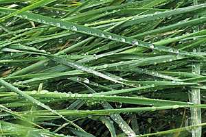 Фото: "Городские вести"