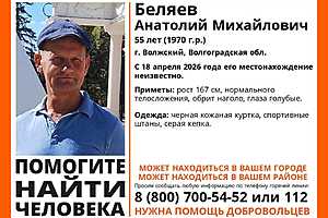 фото: "ЛизаАлерт"