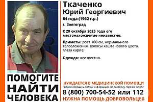 Фото: отряд "ЛизаАлерт"