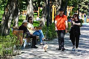 Фото: Дмитрий Рогулин / "Городские вести"