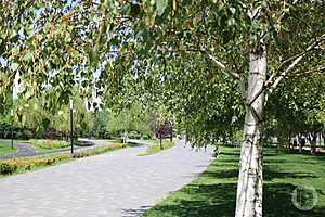 Фото: "Городские вести"