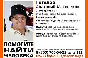 Фото предоставлено поисковым отрядом "ЛизаАлерт"