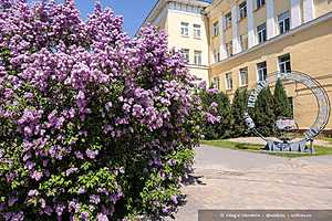 Фото: Олег Димитров / "Городские вести"