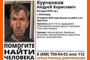 Фото: отряд "ЛизаАлерт"