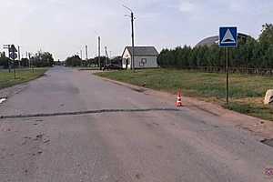 фото: ГУ МВД России по Волгоградской области