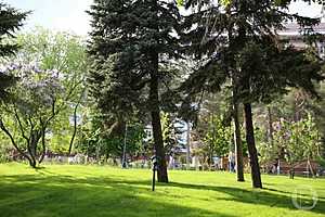 Фото: Дмитрий Рогулин / "Городские вести"