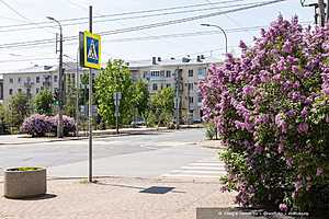Фото: Олег Димитров / "Городские вести"