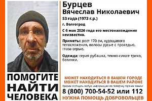 фото: "ЛизаАлерт"