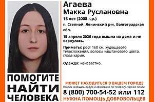 Фото: "ЛизаАлерт" Волгоград