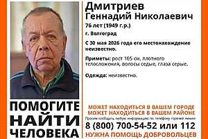 Фото: поисковый отряд "ЛизаАлерт"