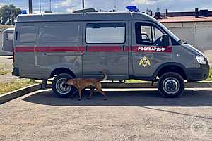 Фото: Росгвардия по Волгоградской области