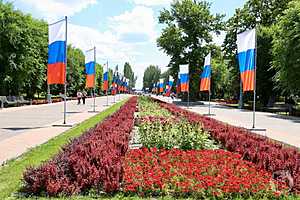 Фото: Дмитрий Рогулин/"Городские вести"