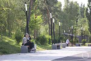 фото: Данил Савченко / "Городские вести"