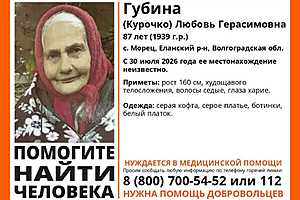фото: поисковый отряд "ЛизаАлерт" Волгоградской области