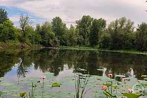 Фото: Евгения Иванова/"Городские вести"