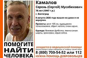 Фото: отряд "ЛизаАлерт"