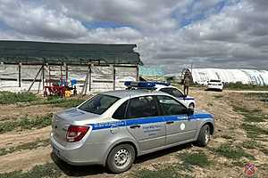 Фото: ГУ МВД по Волгоградской области