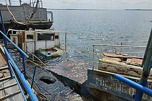 Фото: Волжская межрегиональная природоохранная прокуратура