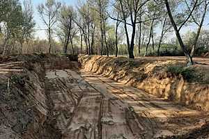 фото: прокуратура Волгоградской области