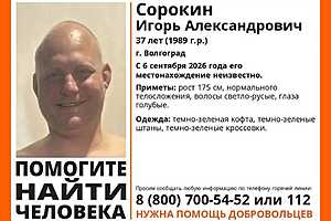 Фото предоставлено поисковым отрядом "ЛизаАлерт"
