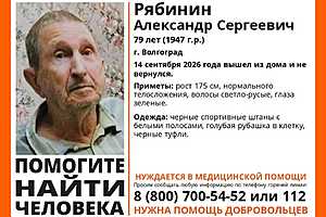 Фото: "ЛизаАлерт" Волгоград