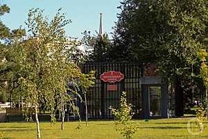 Фото: Дмитрий Рогулин/"Городские вести"