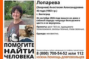 Фото: "ЛизаАлерт" Волгоград