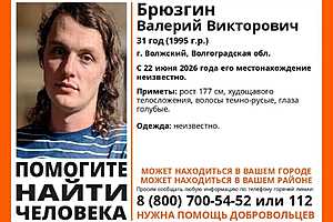Фото предоставлено поисковым отрядом "ЛизаАлерт"
