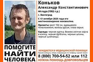 фото: поисковый отряд "ЛизаАлерт" Волгоградской области