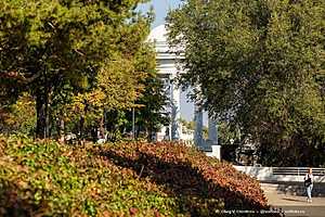 Фото: Олег Димитров / "Городские вести"
