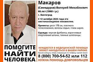 фото: поисковый отряд "ЛизаАлерт" Волгоградской области