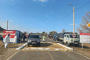 фото: комитет ветеринарии Волгоградской области