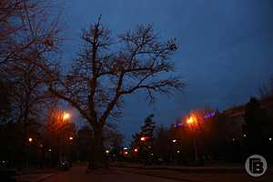 Фото: Дмитрий Рогулин / "Городские вести"