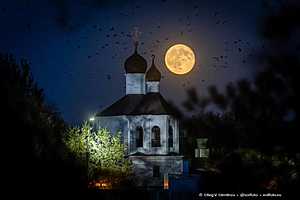Фото: Олег Димитров